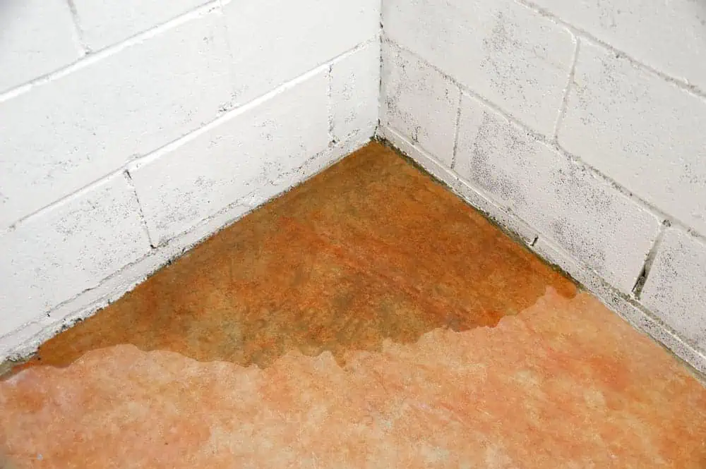 A corner of a basement with light-colored brick walls and a concrete floor showing water damage. The floor has an area of standing water near the corner, indicating possible leakage or seepage through the wall, reminiscent of older Stone Masonry Boston structures.